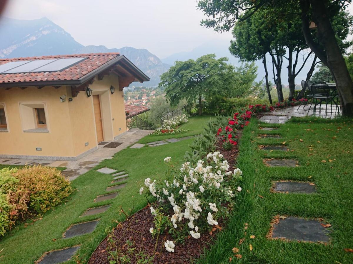 Villa Primula Белладжо Экстерьер фото