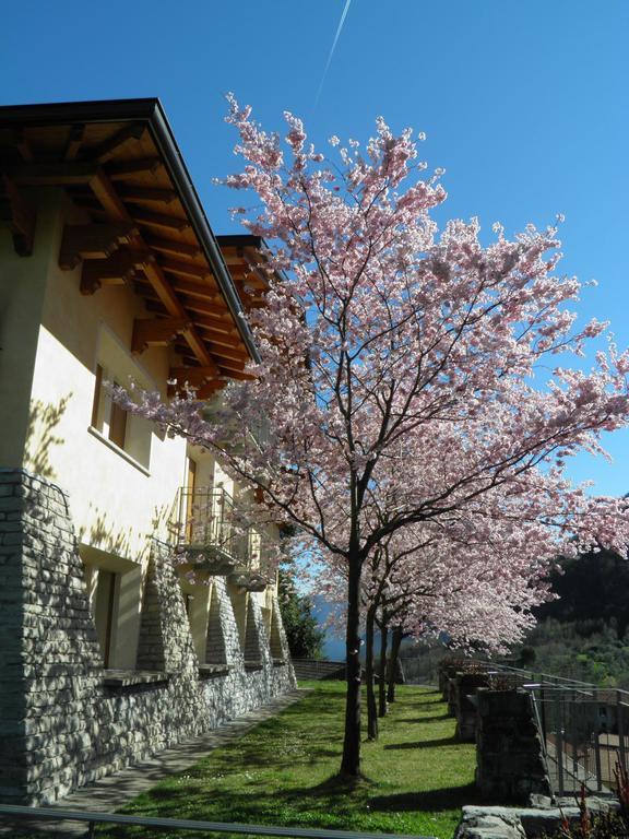 Villa Primula Белладжо Номер фото
